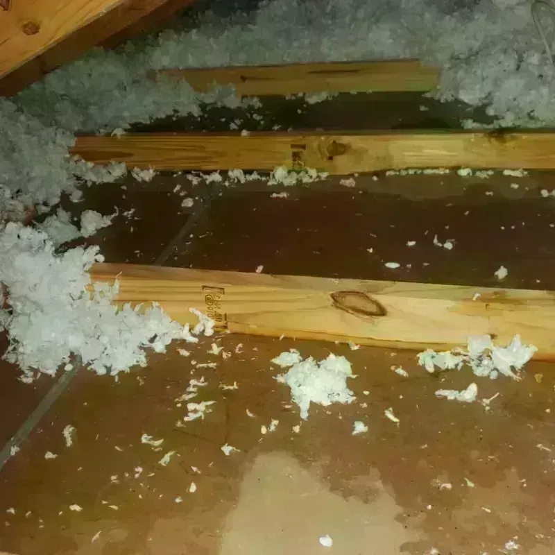 Attic Water Damage in Clemmons, NC