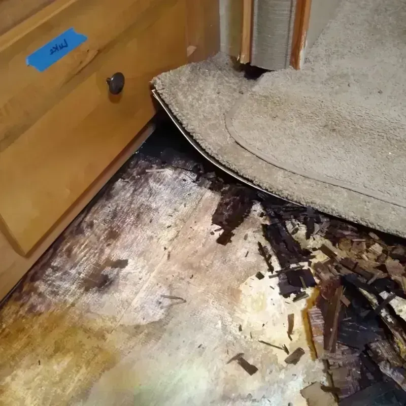 Wood Floor Water Damage in Clemmons, NC